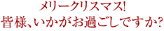 メリークリスマス！皆様、いかがお過ごしですか？