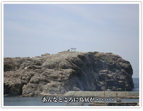 あんなところに鳥居が・・・・