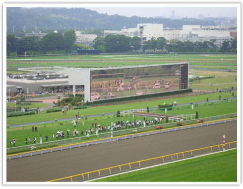 府中競馬場