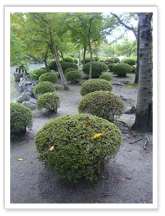 東寺