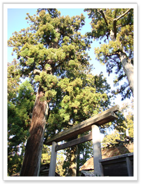 神社庁の方々と伊勢神宮に行って参りました
