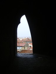 t-firenze-6.jpg