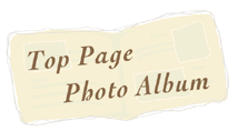 Top Page Photo Album